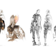 Illustration for article titled The Fantastic Character Art of Akihiko Yoshida